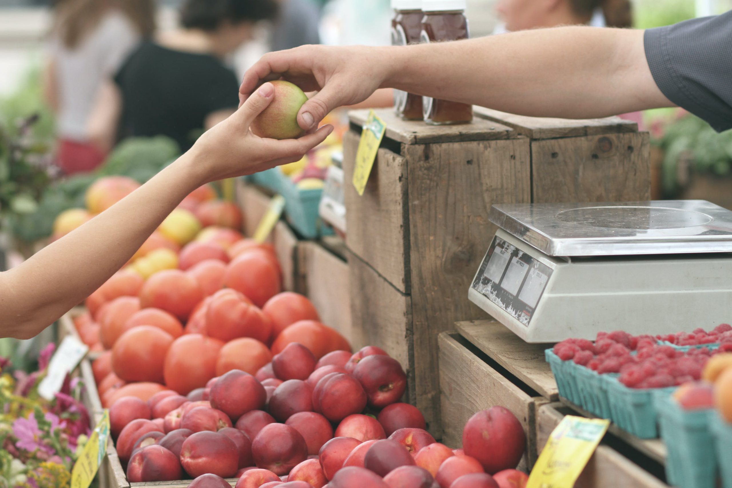 Conheça os Mercadinhos modernos e como explorá-los ao máximo!